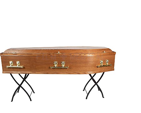 Coffin With Brass Effect (Coffin Only)